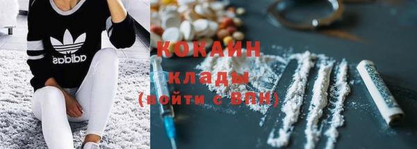 шишки Володарск