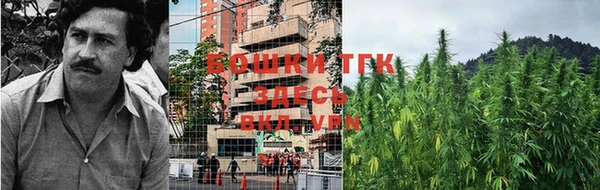шишки Володарск